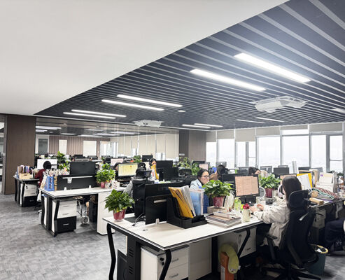 CHINA SONSILL HOLDING Unternehmensprofil