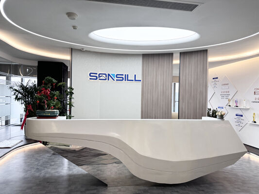 CHINA SONSILL HOLDING Unternehmensprofil