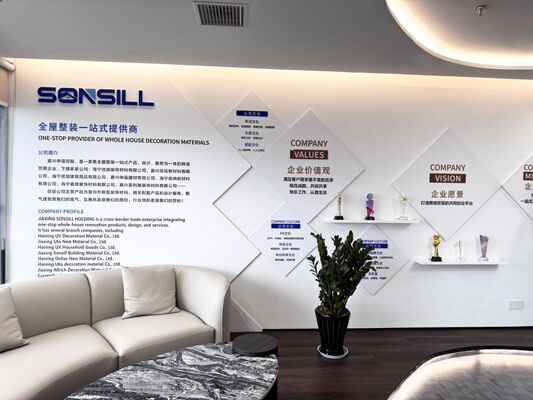 CHINA SONSILL HOLDING Unternehmensprofil