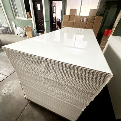 Marmor-Umweltfreundliche Plastik-Badplatten für Innenwände Villa Wohnung Wasserdichtes Bad