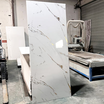 Langlebige Plastik-Duschenwandplatten für die Renovierung von Badzimmern