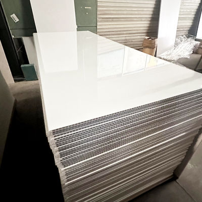 Langlebige Plastik-Duschenwandplatten für die Renovierung von Badzimmern