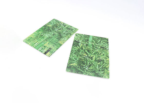 Hohe glatte flexible Plastikwand-dekoratives Brett des PVC-Marmor-Blatt-1220x2900mm