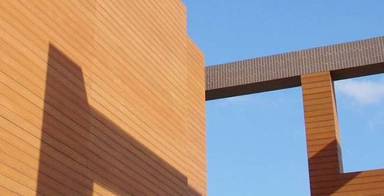Co-Verdrängung Außen-Wpc-Wand-Umhüllung wasserdicht für Garten-Dekoration